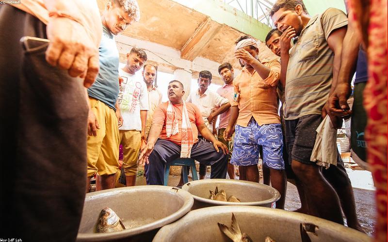 婴童服饰小程序商城模板展示