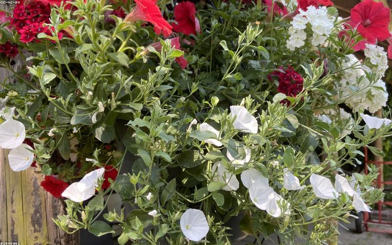 礼品定制小程序商城模板展示