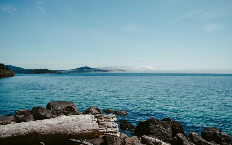 水族用品小程序商城模板展示