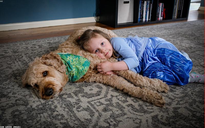 宠物医疗小程序商城模板展示