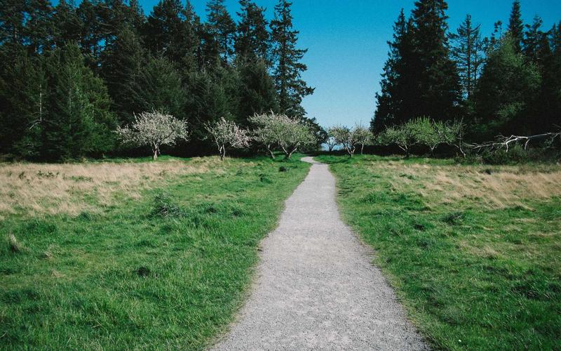 游泳装备小程序商城模板展示