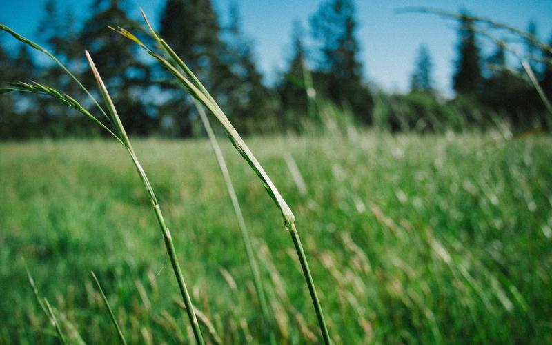 自驾装备小程序商城模板展示